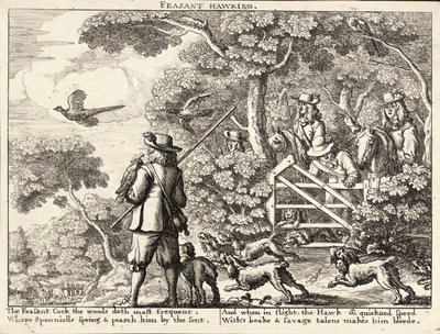 Pheasant Hawking by Wenceslaus Hollar